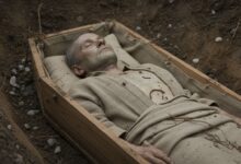 Verwesung im Sarg: Was wirklich passiert